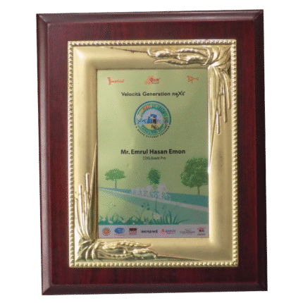 woodenworld china crest