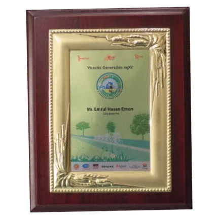 woodenworld china crest