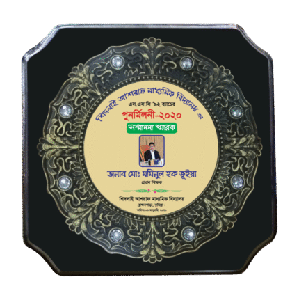 woodenworld plastic round crest