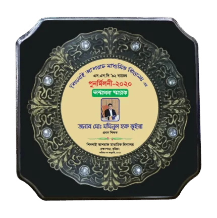 woodenworld plastic round crest
