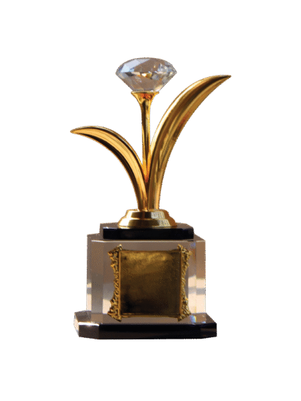 woodenworld china award