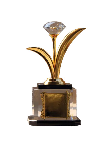 woodenworld china award