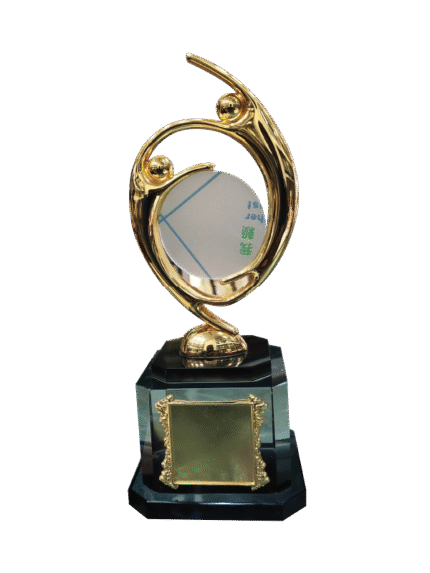 woodenworld china award