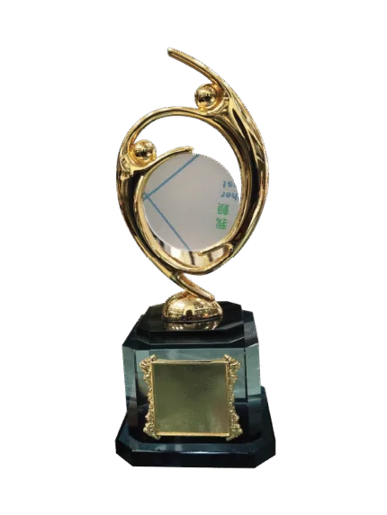 woodenworld china award