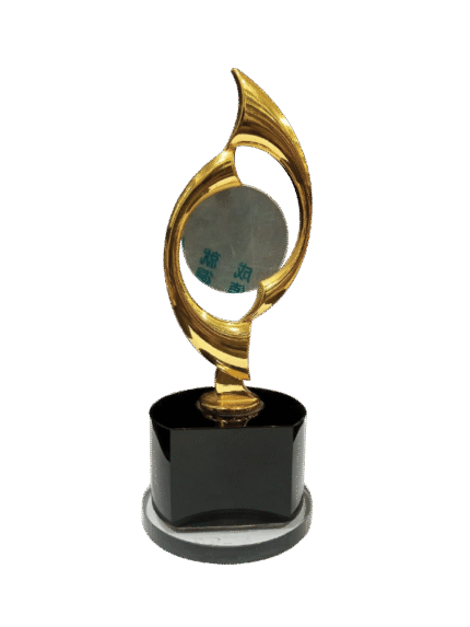 woodenworld china award