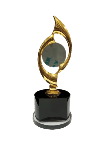 woodenworld china award