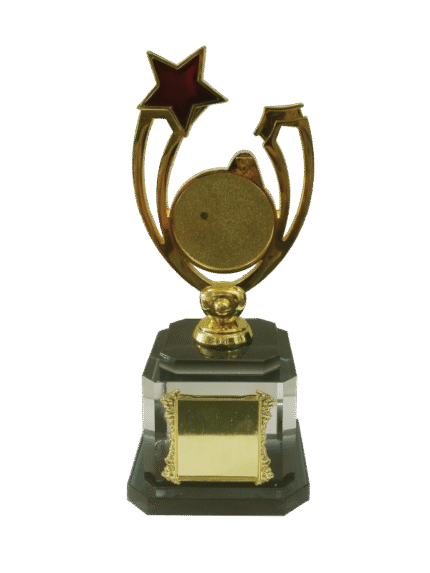 woodenworld china award