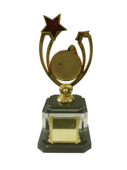 woodenworld china award