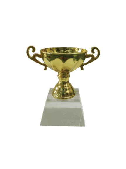 woodenworld china award