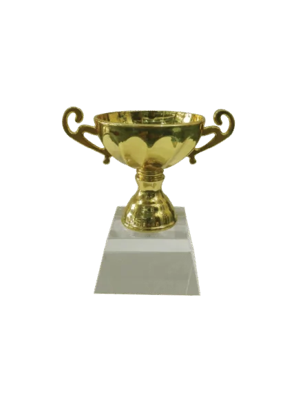 woodenworld china award