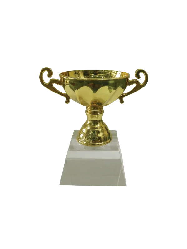 woodenworld china award