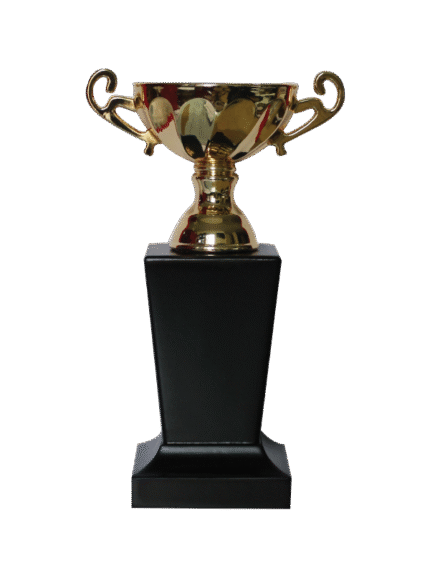 woodenworld china award
