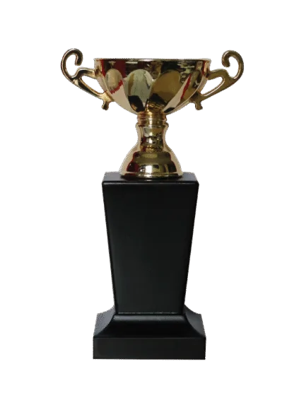woodenworld china award
