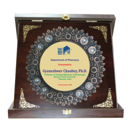 woodenworld plastic round crest